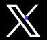 X (formerly Twitter) Icon