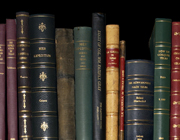 academic support