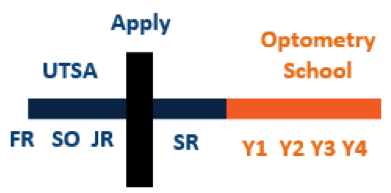 optometry school application timeline