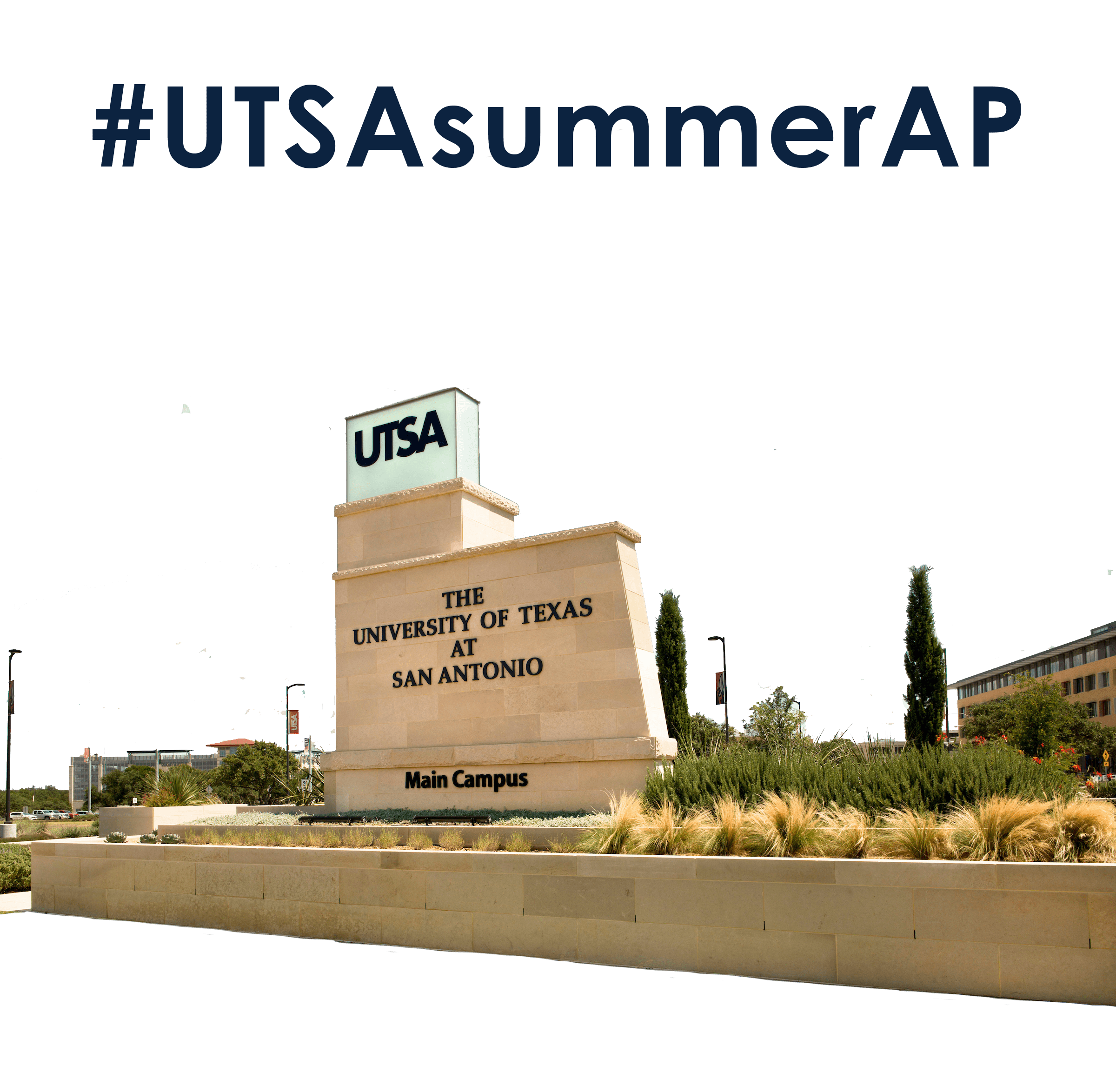 Advanced Placement Summer Institute (APSI) in San Antonio
